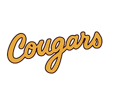 Bloomington North High School Football
