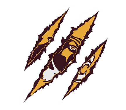 Bloomington North High School Football
